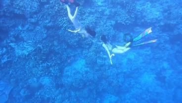 燃烧吧大脑装瓶子游戏